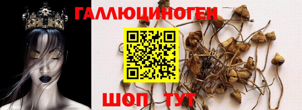 Галлюциногенные грибы Magic Shrooms  Анапа 